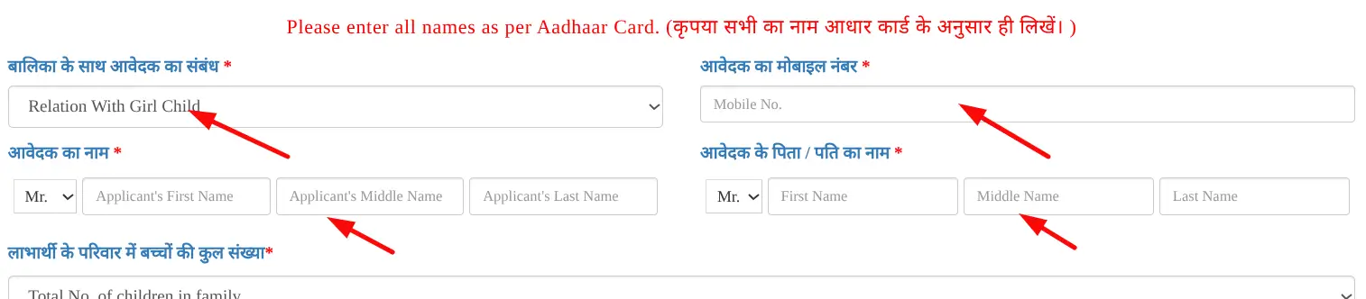 Filling Details In Applicaiton Form