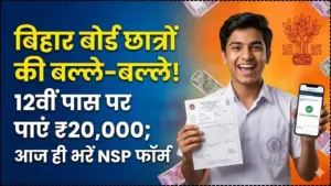 NSP Scholarship Apply Details